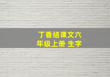 丁香结课文六年级上册 生字